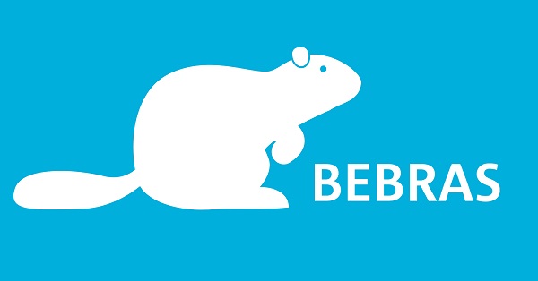 Logo Bebras