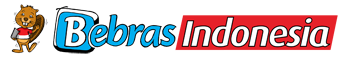 Logo Bebras